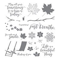Colorful Seasons Photopolymer Stamp Set 143726s