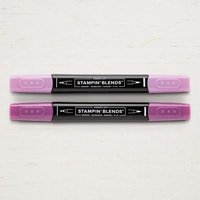 Blackberry Bliss Combo Pack Stampin' Blends